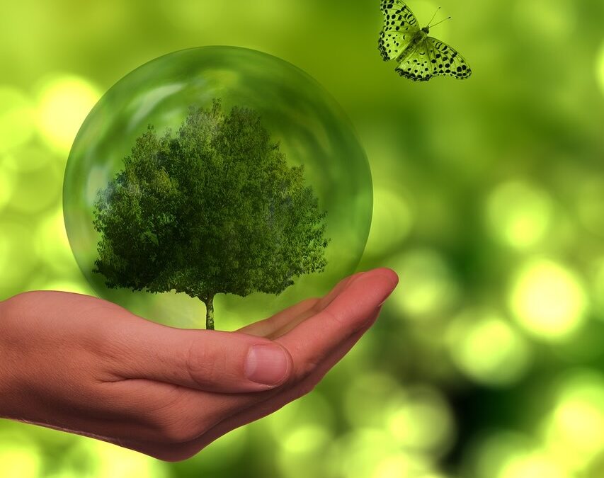 eco-friendly organization, hand holding a sphere representing reuse and repurpose.